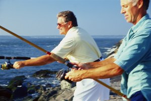 Adquiere una licencia de pesca apropiada.