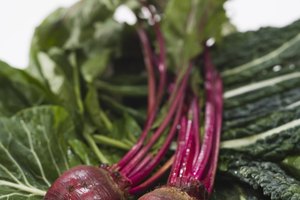 Come la parte verde y las raíces de las remolachas para añadir más nutrientes.