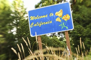 California parece a las familias como un buen lugar para los niños.