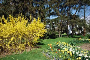 Las cataratas del Niágara tienen muchos senderos y jardines para explorar.
