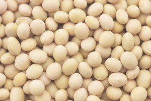 Evita los alimentos como los frijoles, que son altos en fibra.