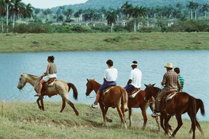 Podrás apreder a montar a caballo.