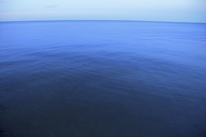 ¿Qué es la Spirulina Pacifica?