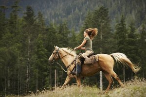 Toma las precauciones esenciales antes de salir con tu caballo.
