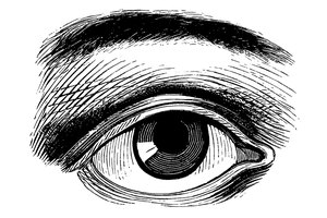 En el momento en que tu niño tenga 2 años de edad, su vista se ha desarrollado hasta el punto de que se da cuenta de más detalles que nunca antes.