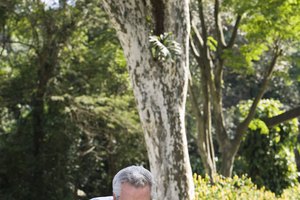 Comer bien y mantenerse activos puede ayudar a las personas de más de 50 a lucir y sentirse más jóvenes.