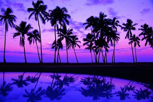 Oahu cuenta con una variedad de museos interesantes.