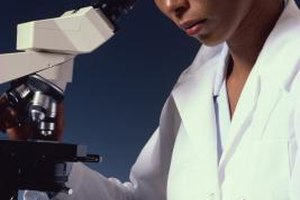 Histotechnology jobs in california