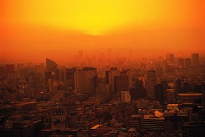 Las ciudades, a menudo, están contaminadas.