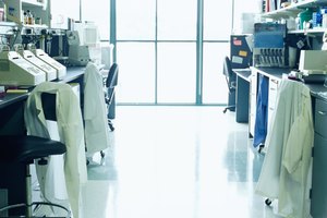 Se hacen todavía estudios por saber qué alivia el dolor.