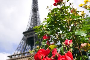 Calcomanías de pared de monumentos de Paris, tal como la Torre Eiffel.