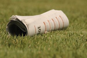 Leslie Banks/iStock/Getty Images Rolled