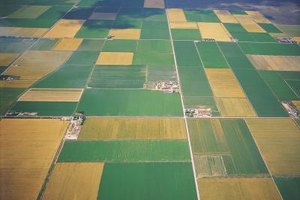 Digital Vision./Photodisc/Getty Images Top agriculture colleges prepare students for careers in a variety of fields, including agribusiness, landscape architecture and food production.