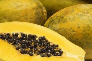 Papaya