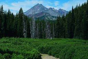 La cima de Brojen Top está sobre Deschutes National Forest.