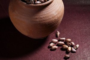 La mantequilla de maní contiene la misma cantidad de grasas tanto saturadas como insaturadas que el aceite de oliva.