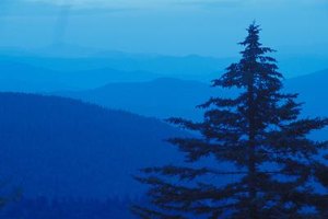 Comstock/Stockbyte/Getty Images Western North Carolina is beautiful, and fortunately some colleges make it easy to find education here.