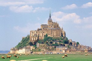 Las ovejas pastan cerca del monte St. Michel.