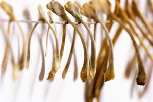 El dolor de articulaciones y la artritis podrían ser síntomas de enfermedad celiaca.