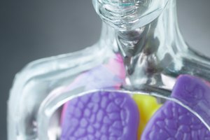 El sodio ayuda a determinar la distribución de fluidos en el cuerpo.