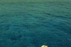 Mejora tu experiencia de snorkel asegurándote de tener una máscara que se ajuste adecuadamente.