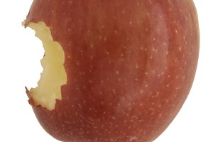 Existen muchas opciones de manzanas saludables además de la pendragon.