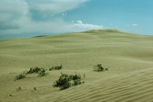 Aprovecha los paisajes dunares de Michigan para caminar y acampar.