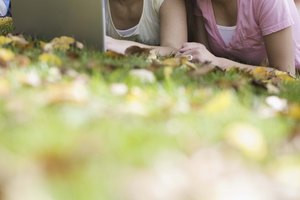 Utiliza las páginas de Facebook para conectar con nuevos amigos.