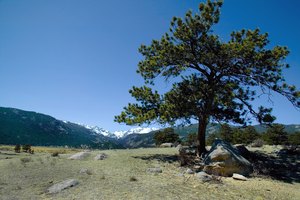 El paisaje en Colorado es impresionante.