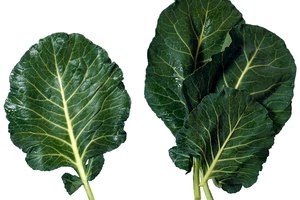 Los vegetales de hoja verde son ricos en luteína.