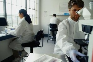 Ryan McVay/Digital Vision/Getty Images A bachelor's degree in chemistry provides the knowledge needed for course work at the graduate level.
