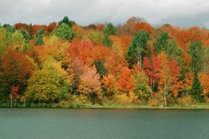 Photos.com/Photos.com/Getty Images Fall