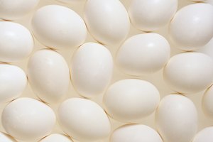 La carne de vaca, el pollo, las nueces y los huevos son una buena fuente de proteína.