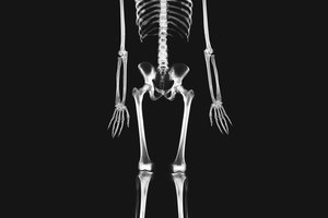 El esqueleto humano tiene 206 huesos.