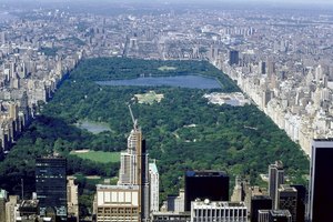 Central Park es un punto destacado en la ciudad de Nueva York.