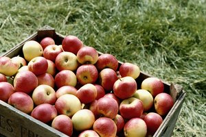 Las manzanas son una comida saludable con alto contenido de fibras y bajas calorías.