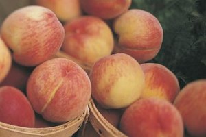 Comstock/Comstock/Getty Images Organic fruits and vegetables won't contain chemical pesticide residue, but they can carry bacteria.