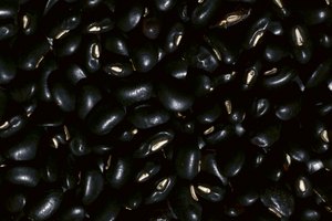 La cocción en una Crock-Pot hace innecesario poner los frijoles negros en remojo por mucho tiempo.