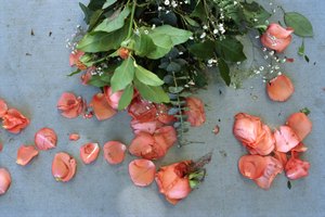 Además de sus numerosas bondades curativas, elimina el moho de las rosas.