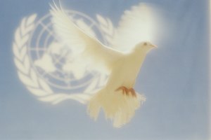 Las palomas blancas han sido tradcionalmente símbolos de la paz.
