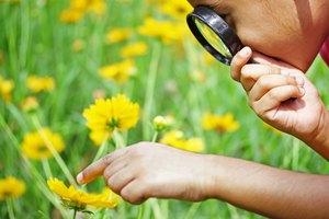 Las exploraciones prácticas proporcionan un contexto real a los niños.