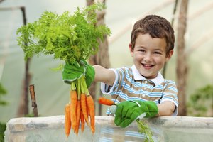 Niño con un racimo de zanahorias frescas.