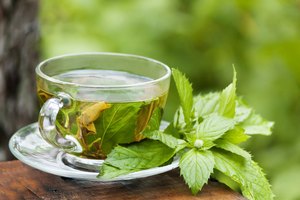 Este té puede controlar las infecciones orales comunes.