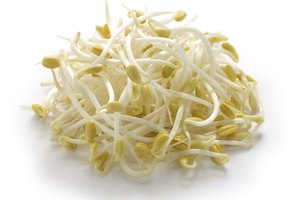 Brotes de soja