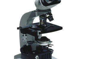 Tu médico te aplicará una cinta adhesiva transparente en tu región anal y luego examinará la cinta con un microscopio.