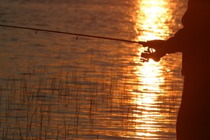 La pesca es uno de los pasatiempos favoritos en Cowan Lake.