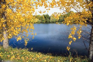 El Twin Lakes State Park también ofrece a sus visitantes el Cedar Crest Conference Center.