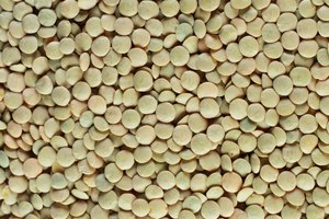 Las lentejas ofrecen un gran valor nutricional, incluyendo fibra y folato.