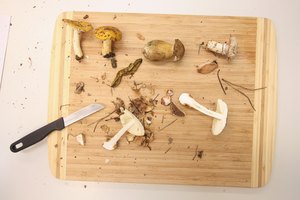 Tabla con diferentes variedades de hongos