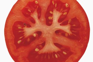 El tomate es un vegetal con altos niveles de licopeno que es un poderoso antioxidante contra las células cancerosas.